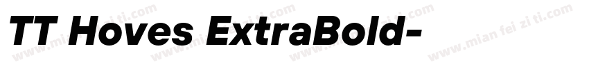 TT Hoves ExtraBold字体转换